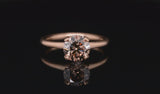 Modern 18ct rose gold 4-claw cognac diamond engagement ring